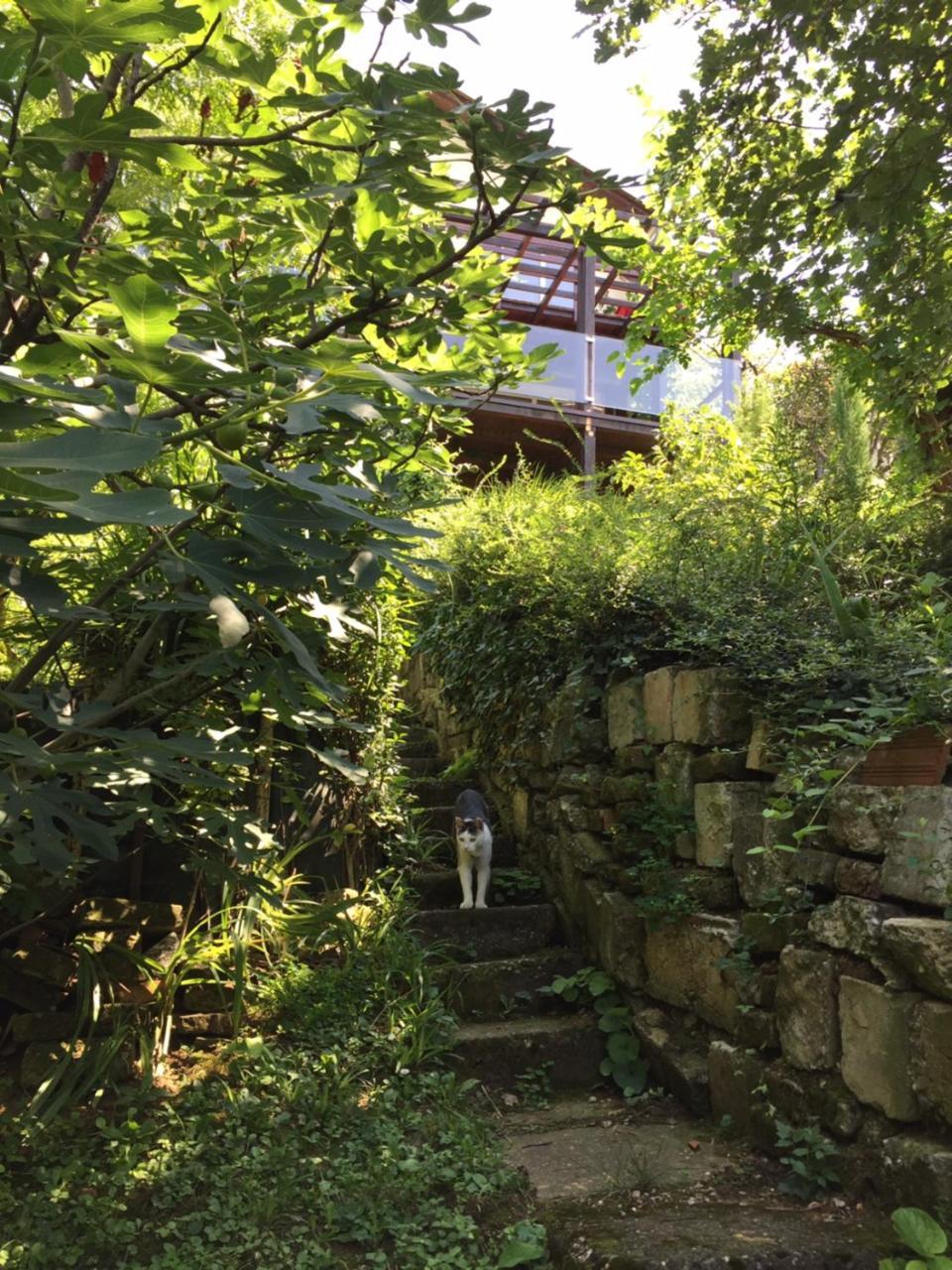 Pergola House In A Green Oasis With Fantastic View Petrovaradin Exterior photo