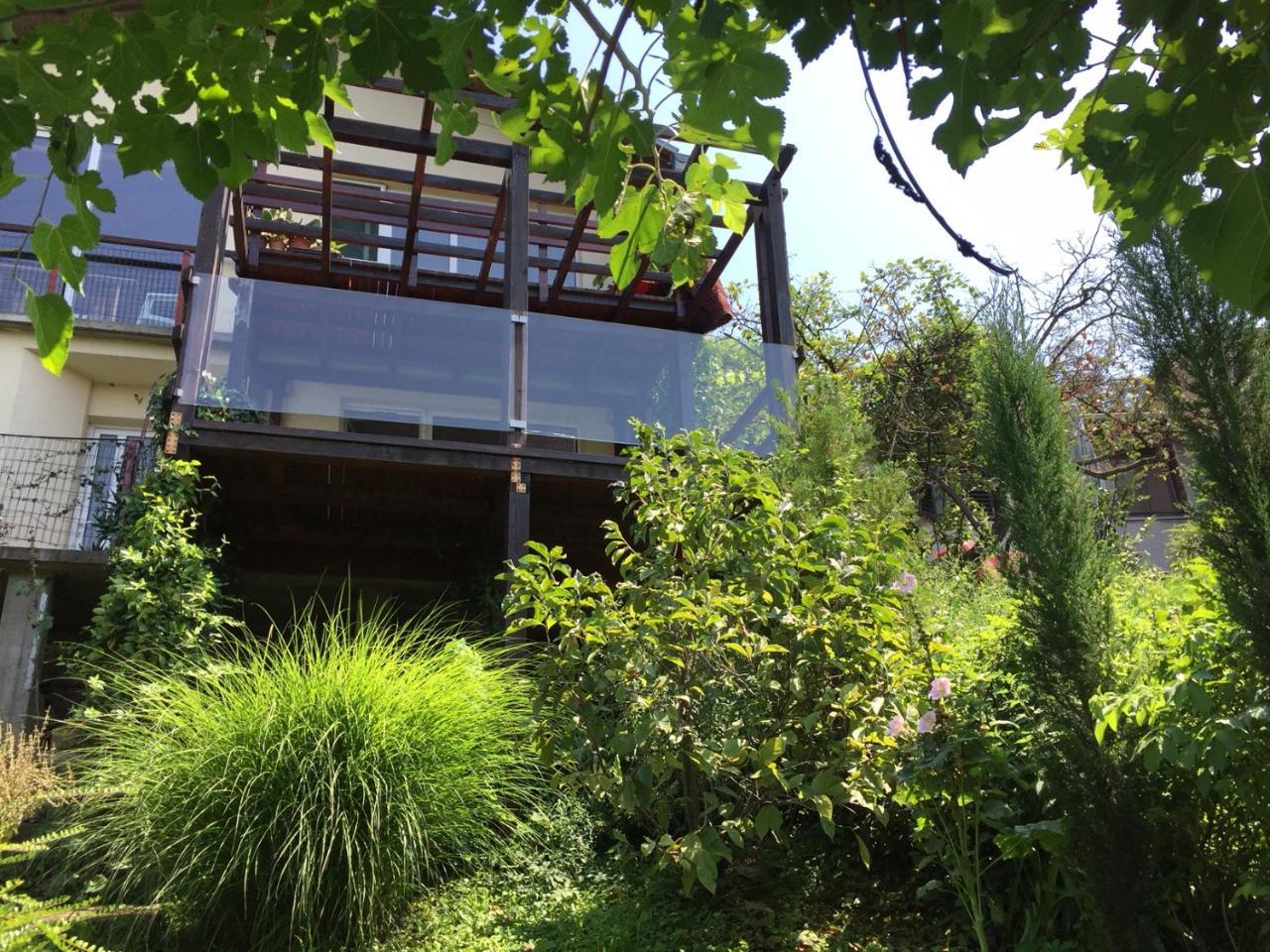 Pergola House In A Green Oasis With Fantastic View Petrovaradin Exterior photo