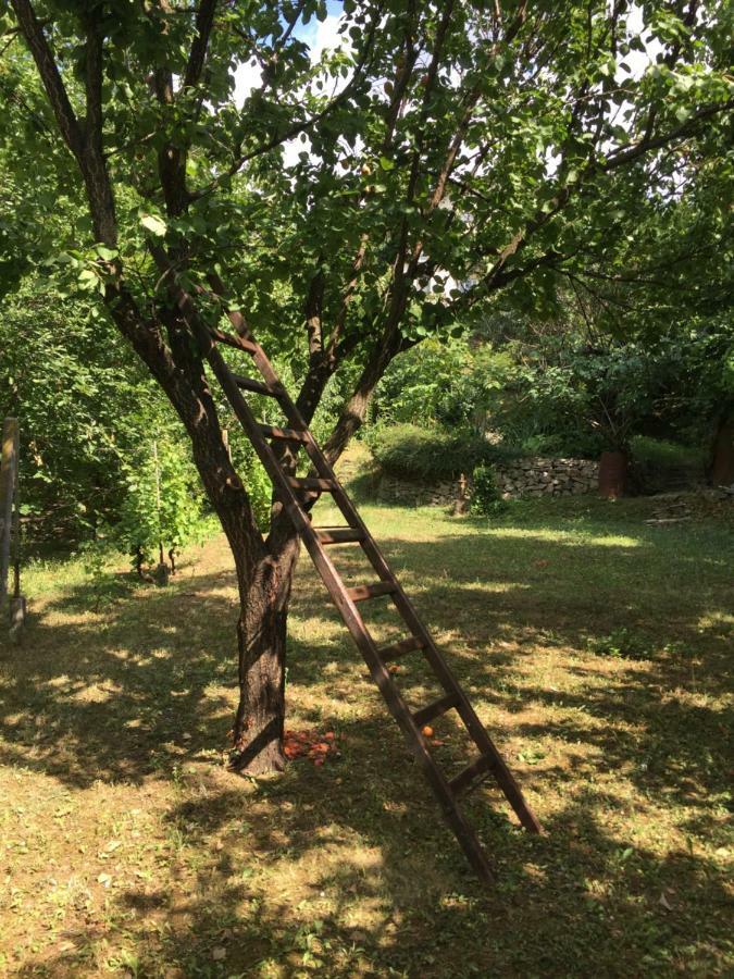 Pergola House In A Green Oasis With Fantastic View Petrovaradin Exterior photo